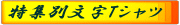 ���W�ʕ���T�V���c